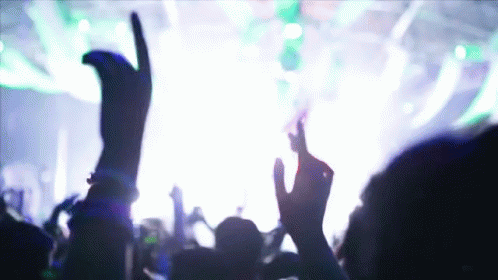 Crowd With Hands in the Air