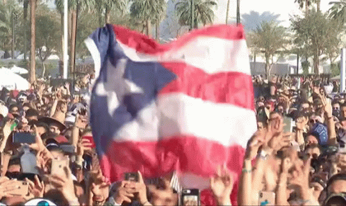 Crowded Audience Holding Puerto Rico Flag GIF