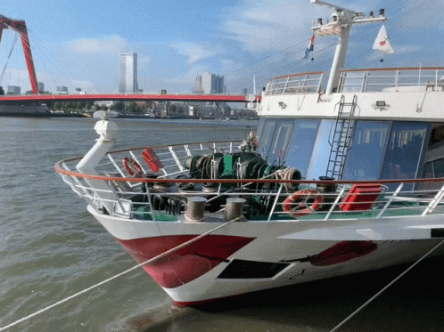 Cruise Ship Docking Sea Port GIF