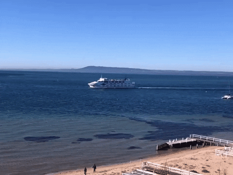 Cruise Ship Sailing GIF