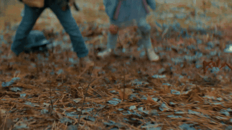 Crushing It Crushed It Spider GIF