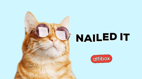 Crushing It Nailed It Orange Cat Sunglasses GIF