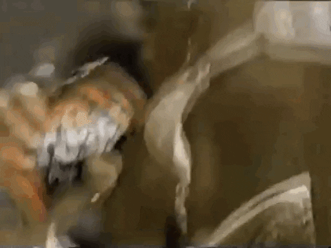 Crushing It Soda Can GIF