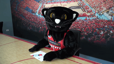 Crushing It Wilbur The Wildcat GIF