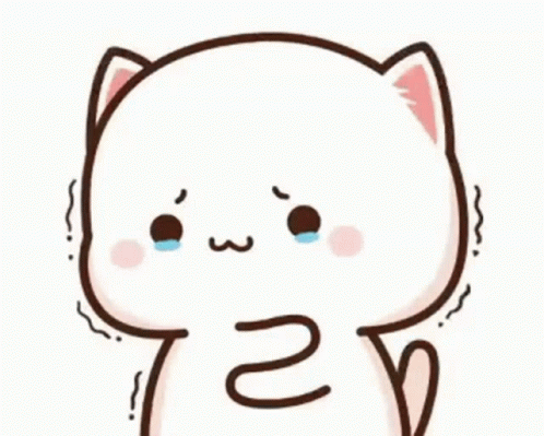 Mochi Cat Peach Sad Cry GIF