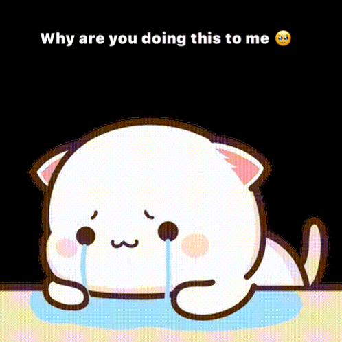 Crying Cartoon Cat Why Are You Doing This To Me