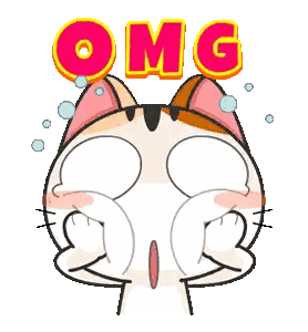 Crying Cartoon Cat with OMG