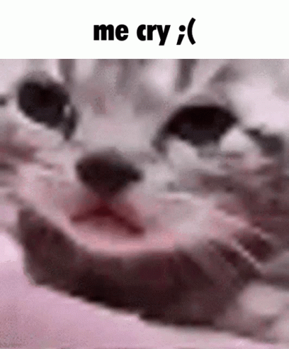 Crying Cat 413 X 498 Gif GIF