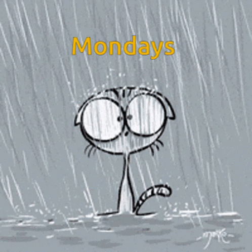 Crying Cat in Rain With Mondays