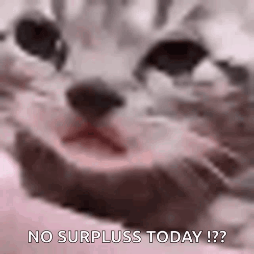 Crying Cat No Surpluss Today GIF