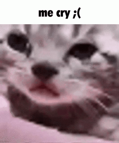 Crying Cat GIF