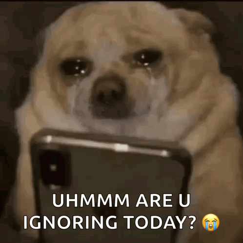Crying Dog at Phone Uhmm Are U Ignoring Today