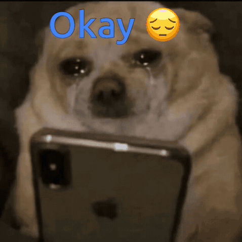 Crying Dog Looking at Phone with Okay