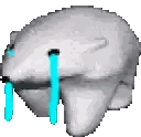 Crying Polar Bear