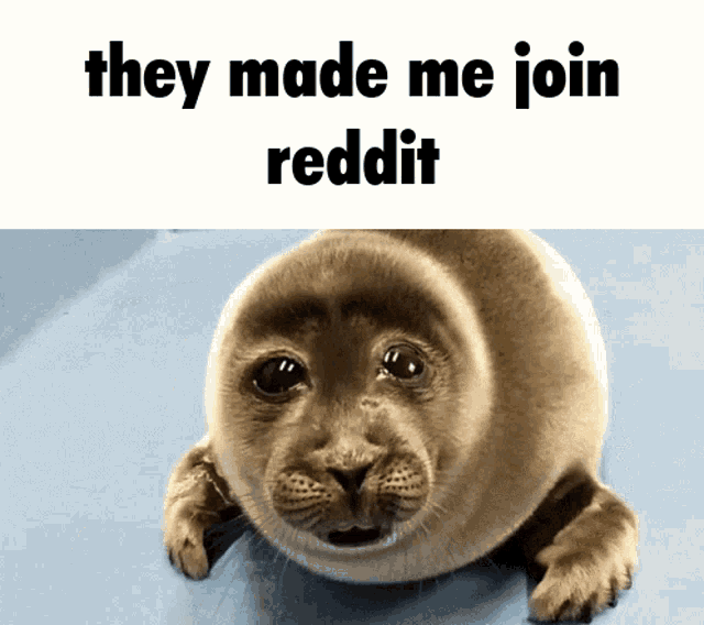 Crying Seal They Made Me Join Reddit Meme GIF