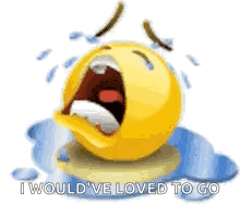 Crying Smiley Face with Tears