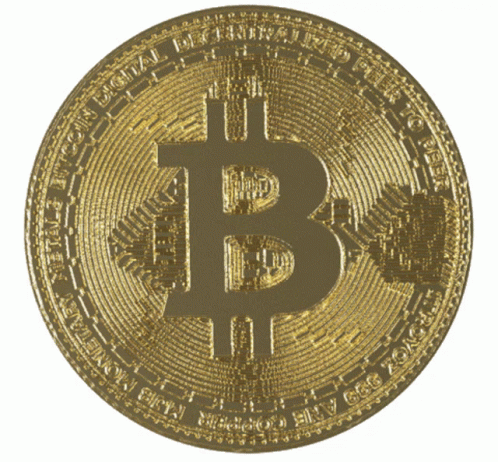 Crypto Bitcoin Gold Coin GIF