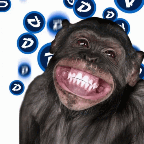 Crypto Monkey Wacky Smile GIF