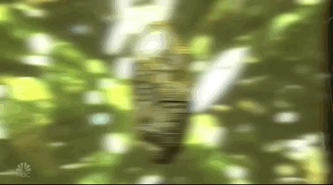 Cryptocurrency Bitcoin Coin GIF
