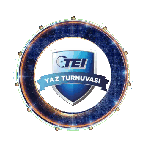 Ctei Yaz Turnuvasi Logo