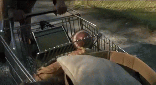 Cuba Gooding Jr Pushing Trolley GIF