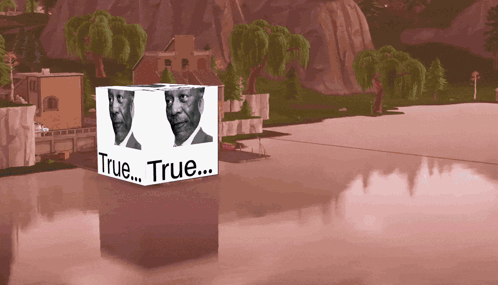Cube With Two Faces Saying True