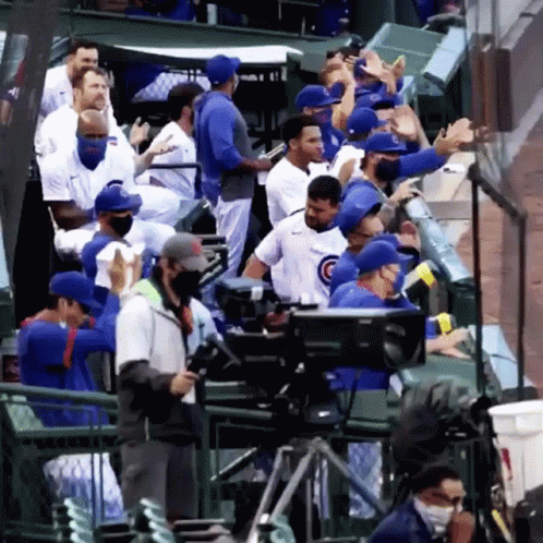 Cubs Baseball Players Sitting