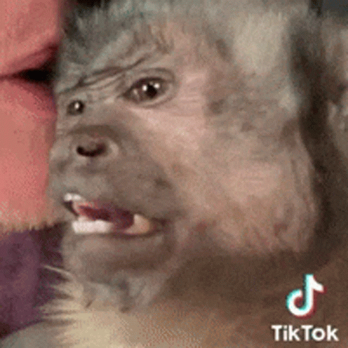 Cuddle Curious George Getting Sleepy GIF