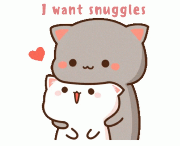 Cuddles Snuggles Mochi Cat GIF
