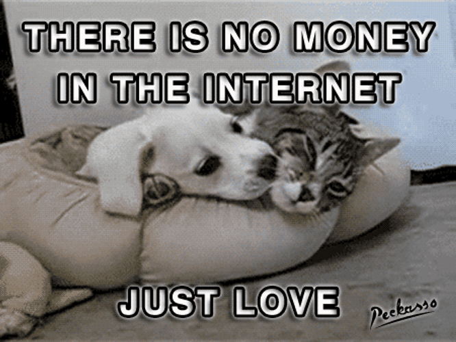 Cuddling Cat And Dog Funny Love GIF