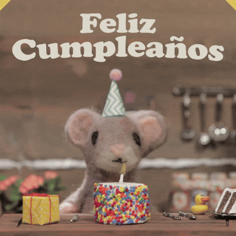 Cumpleaños 480 X 480 Gif GIF