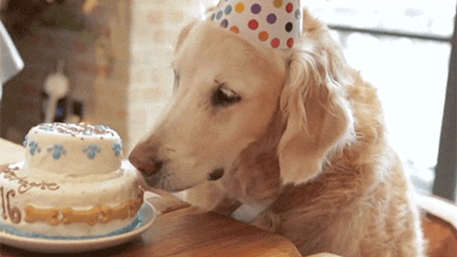Cumpleaños GIF