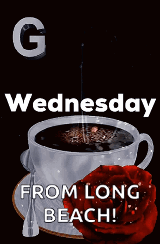 Cup of Coffee Next to Red Rose Saying Go Wednesday From Long Beach