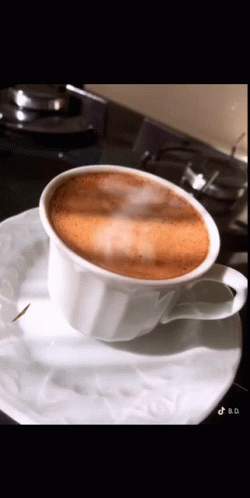 Cup of Coffee on Saucer on Stove Top