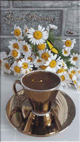 Cup of Coffee With Daisies Good Morning
