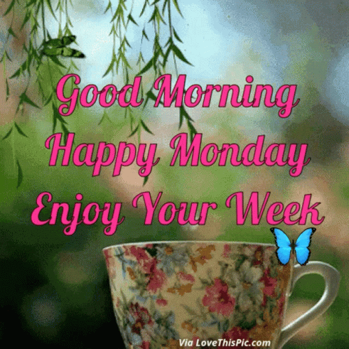 Cup Saying Good Morning Happy Monday Enjoy Your Week