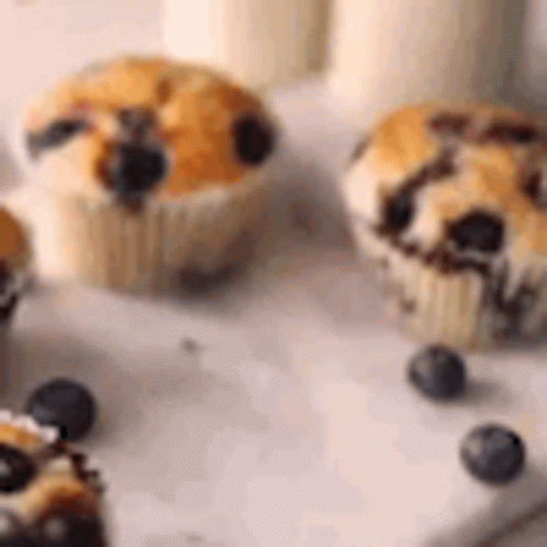 Cupcakes with Blueberries