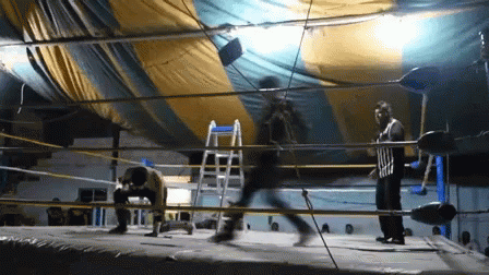 Curb Stomp In Local Court GIF