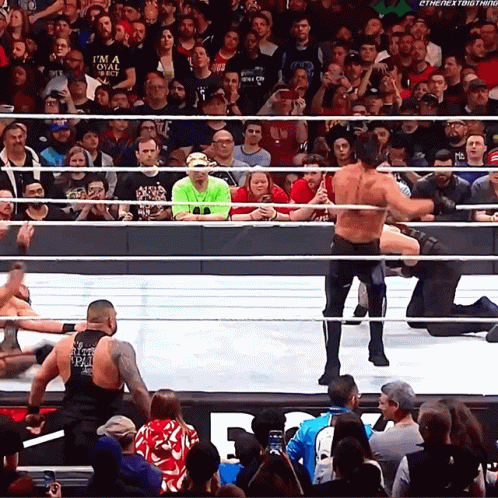 Curb Stomp Of The Legend Seth Rollins GIF