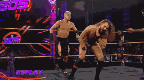 Curb Stomp Orca Vs Shark GIF