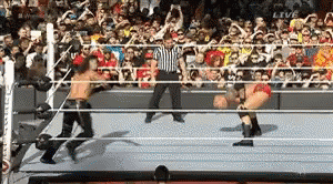 Curb Stomp Rko Knockout Smackdown GIF