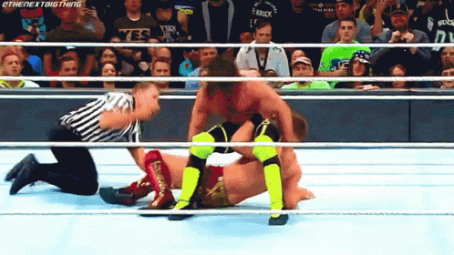 Curb Stomp Seth Rollins And Do Backflipped GIF
