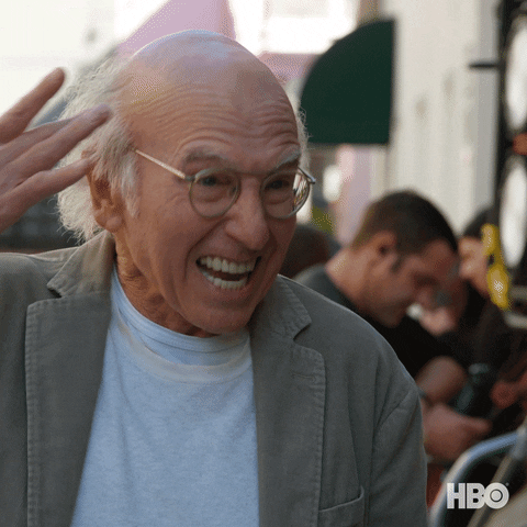 Curb Your Enthusiasm Kinda Stupid GIF