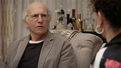 Curb Your Enthusiasm What GIF