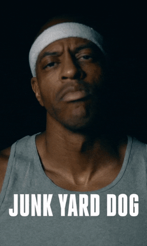 Curious George Big3 The Answer GIF