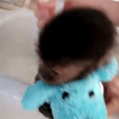 Curious George Cuddle Toy GIF