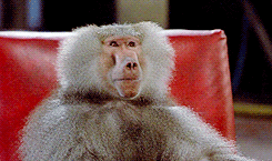 Curious George Serious Face GIF