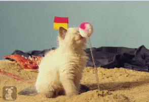 Curious Kitten Getting Boops From Ball GIF