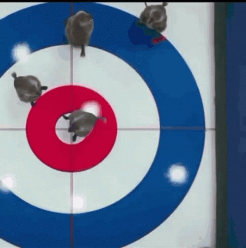 Curling GIF