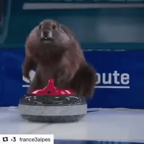 Curling GIF